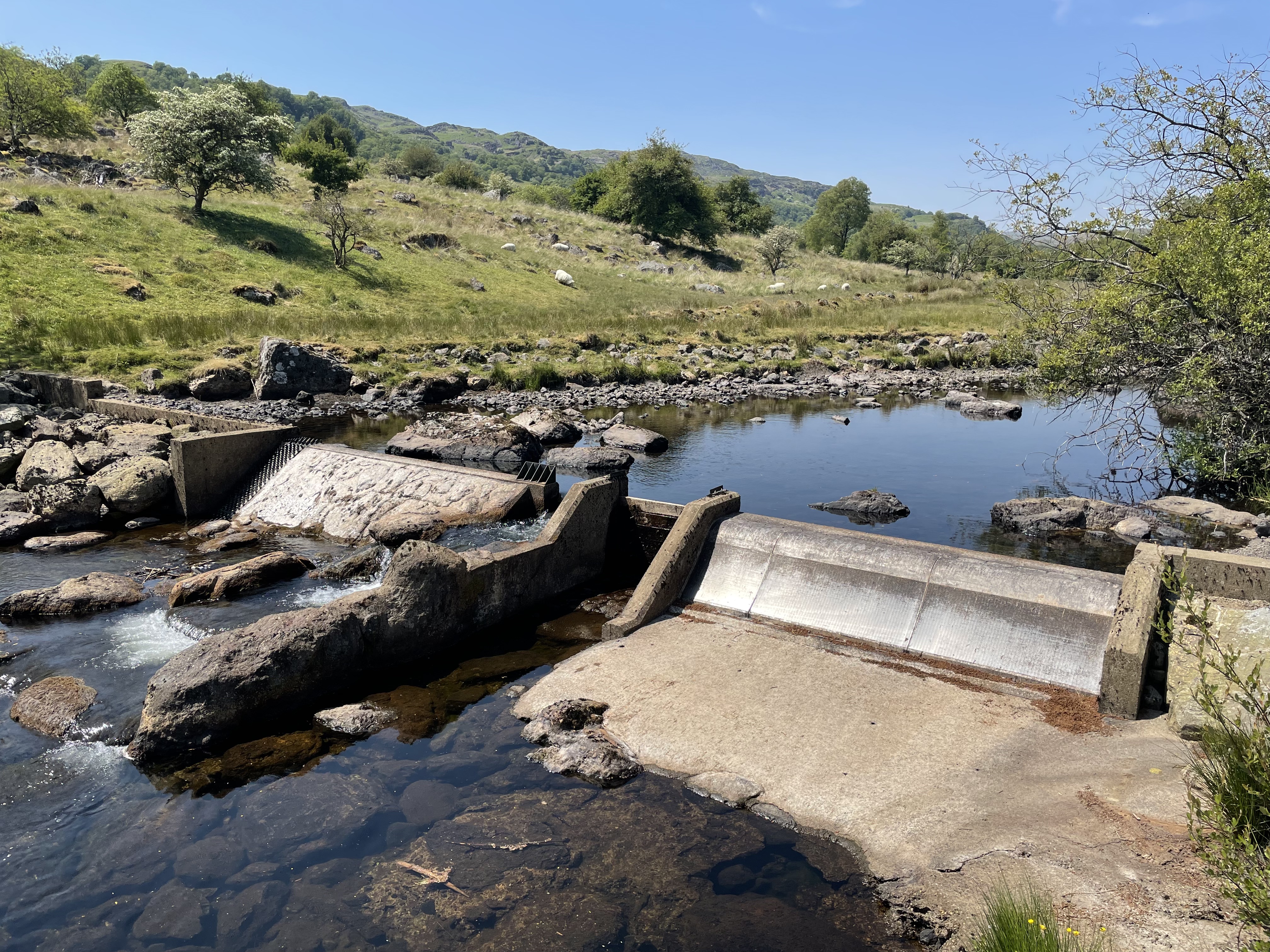 Weir in the river.